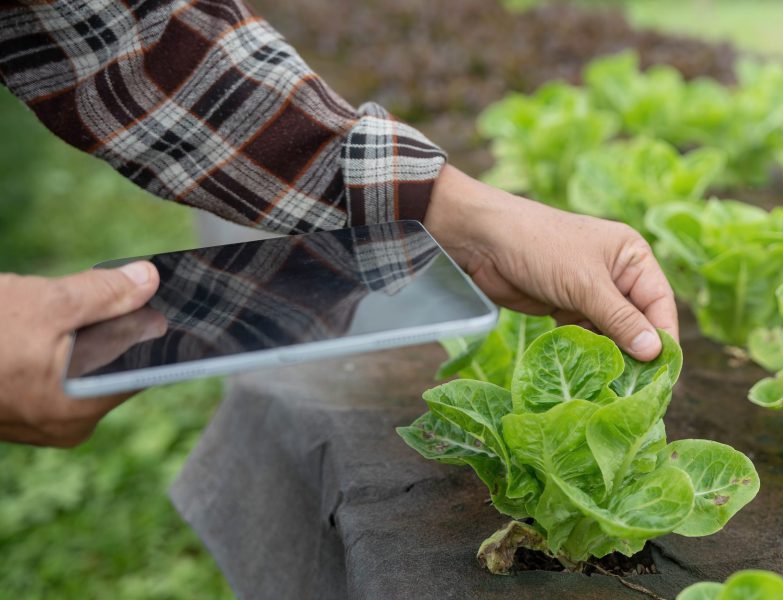 PUSHING BOUNDARIES IN IOT AND SPACE ENGINEERING